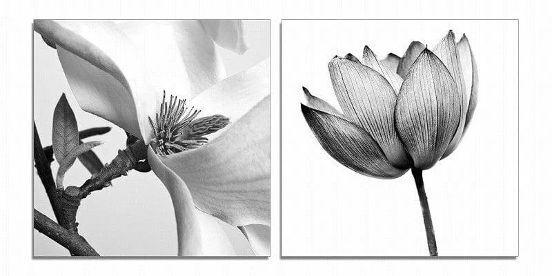 24" Black And White Canvas 2 Panels Photo