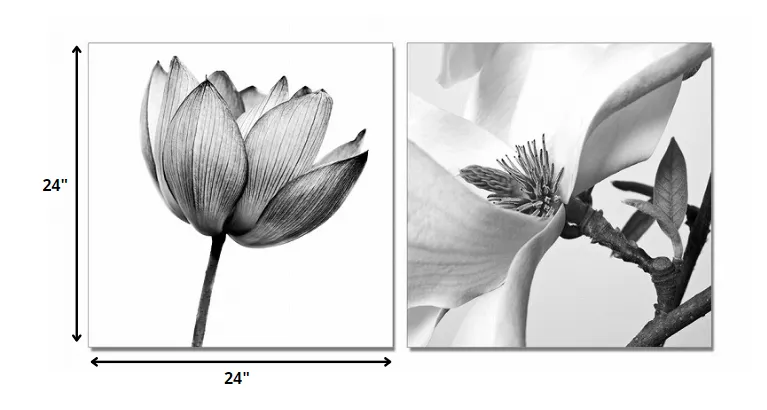 24" Black And White Canvas 2 Panels Photo