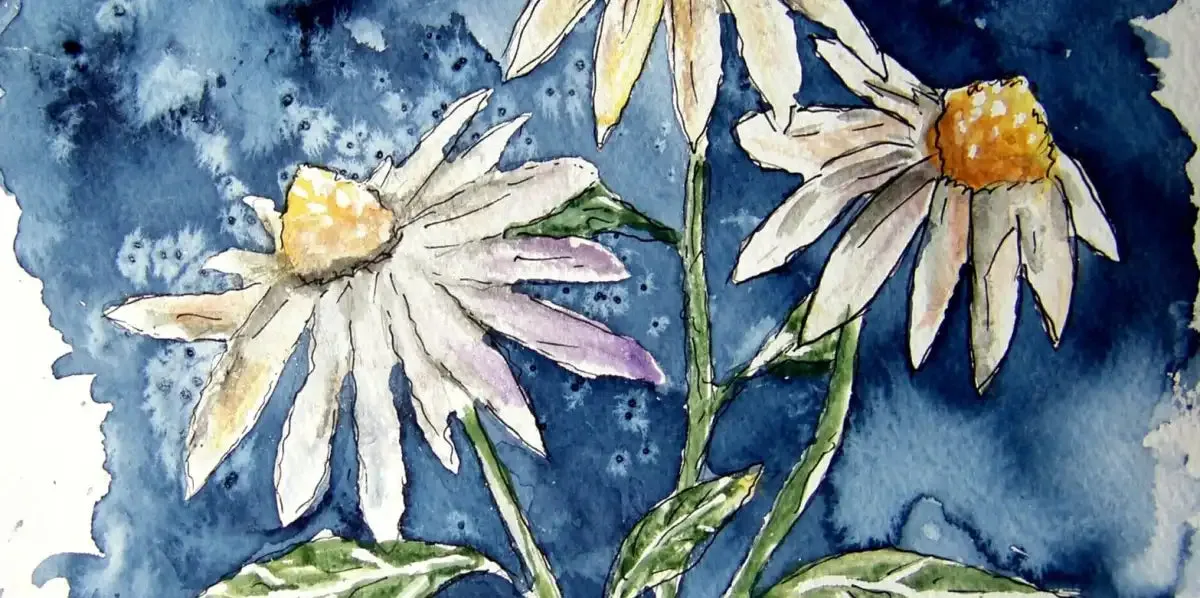 3 Daisies Wall Art
