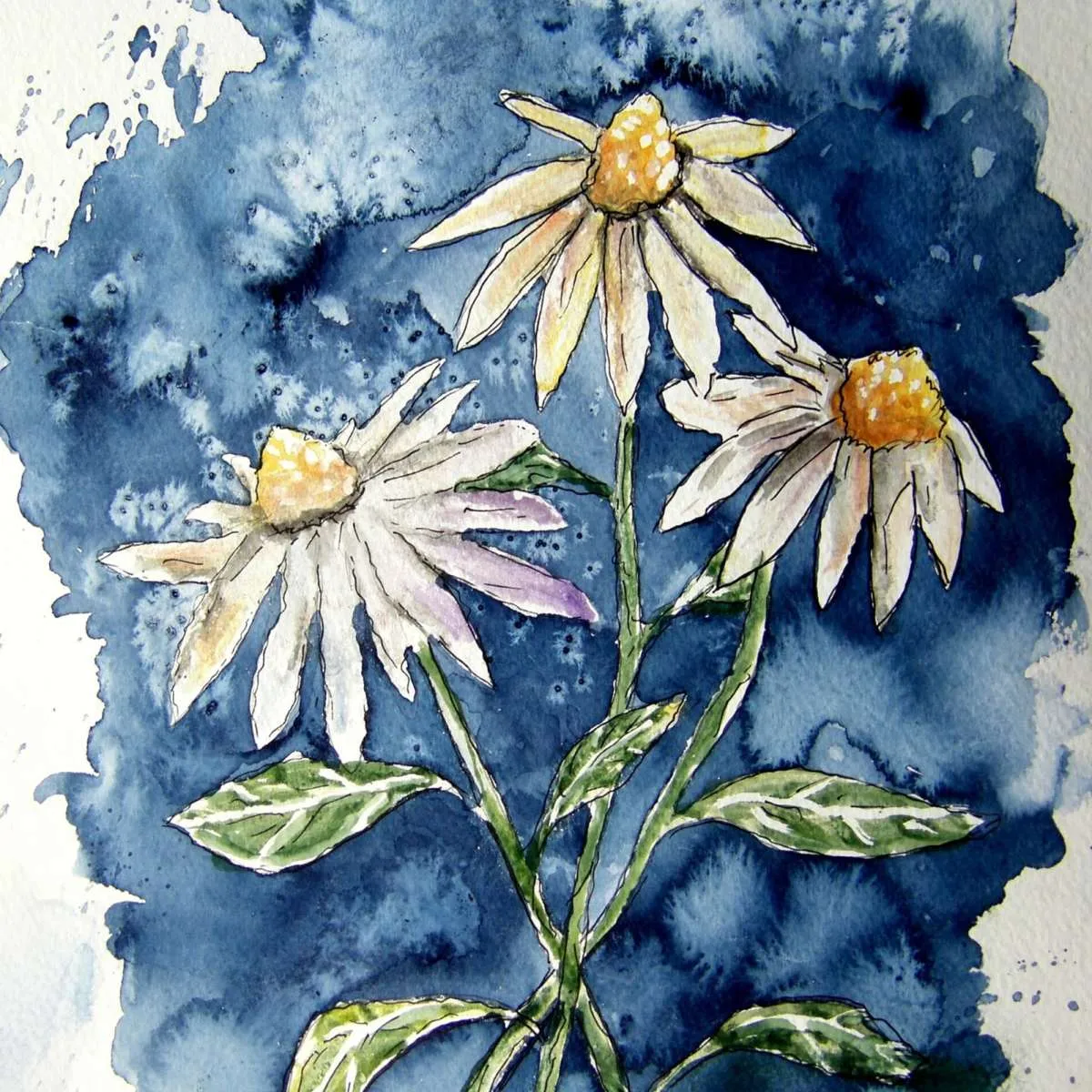3 Daisies Wall Art