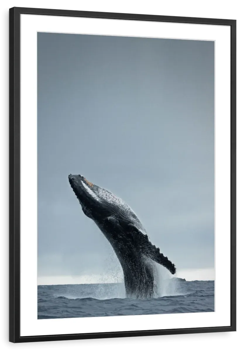 40 Ton Wall Art