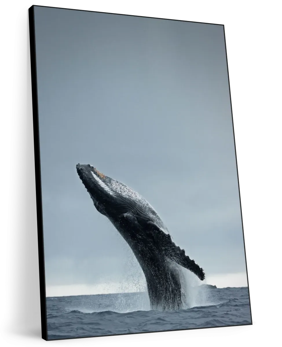 40 Ton Wall Art