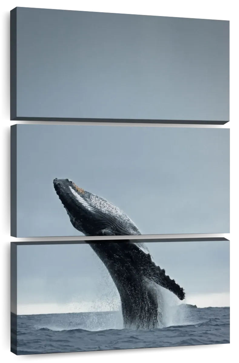 40 Ton Wall Art