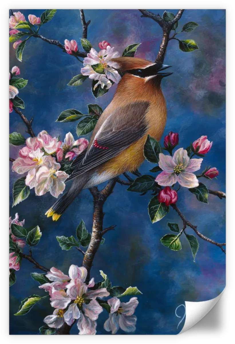 A Cedar Waxwing Wall Art