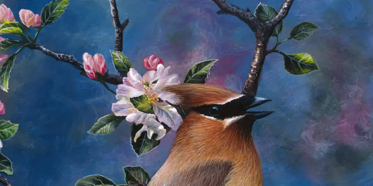A Cedar Waxwing Wall Art