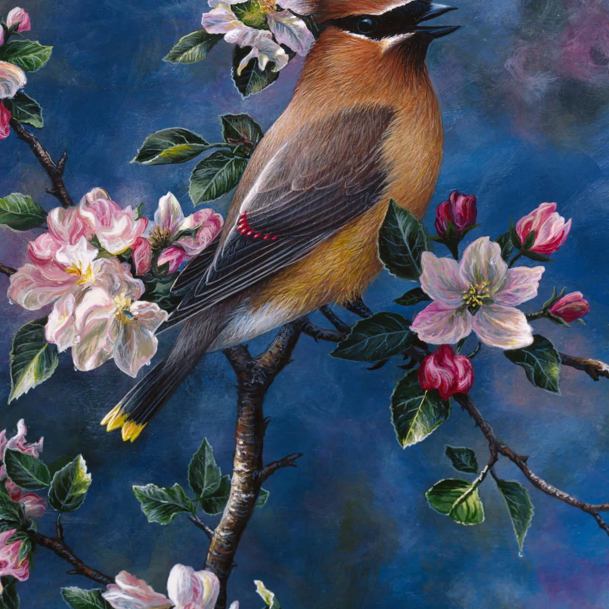 A Cedar Waxwing Wall Art