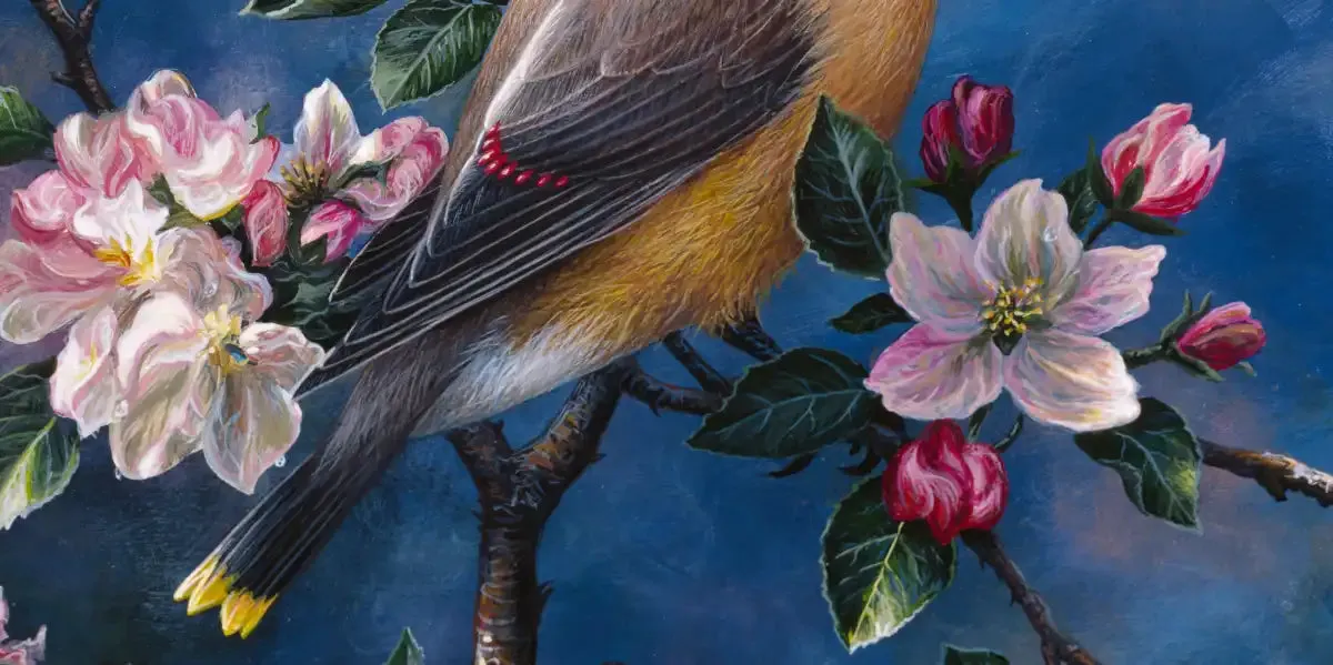 A Cedar Waxwing Wall Art
