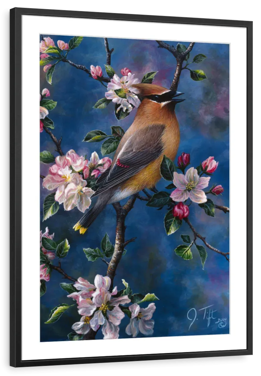 A Cedar Waxwing Wall Art