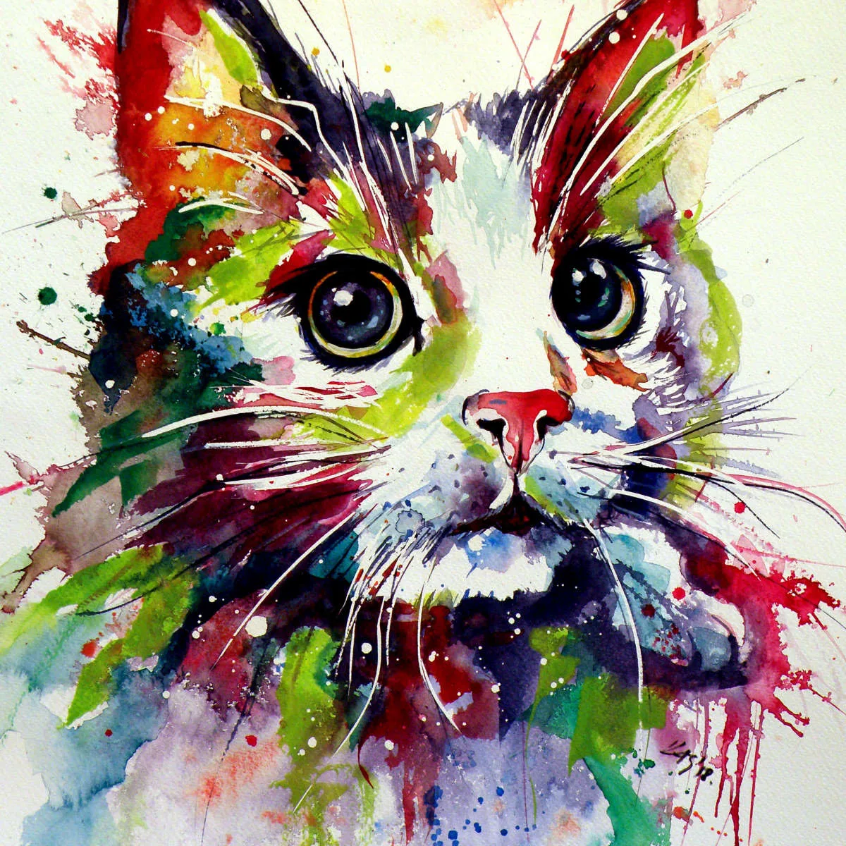 A Colorful Cat Wall Art