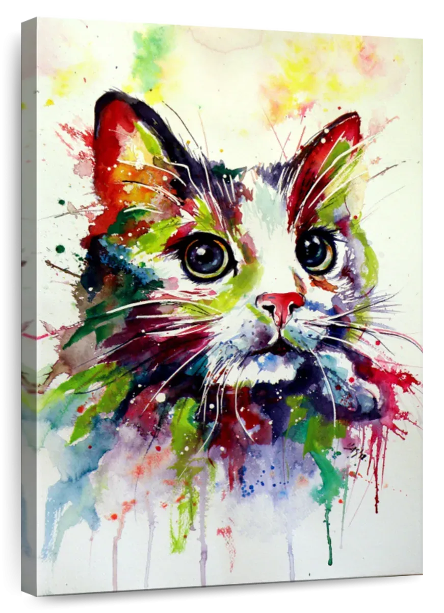 A Colorful Cat Wall Art
