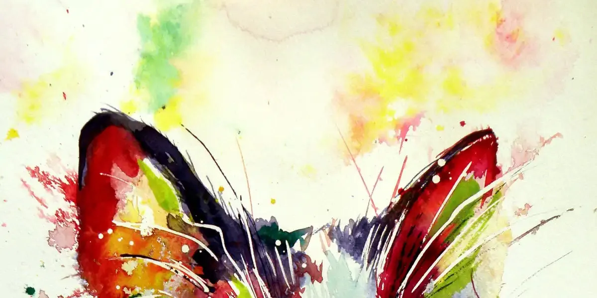 A Colorful Cat Wall Art