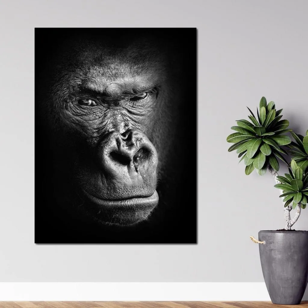 Black and White Gorilla