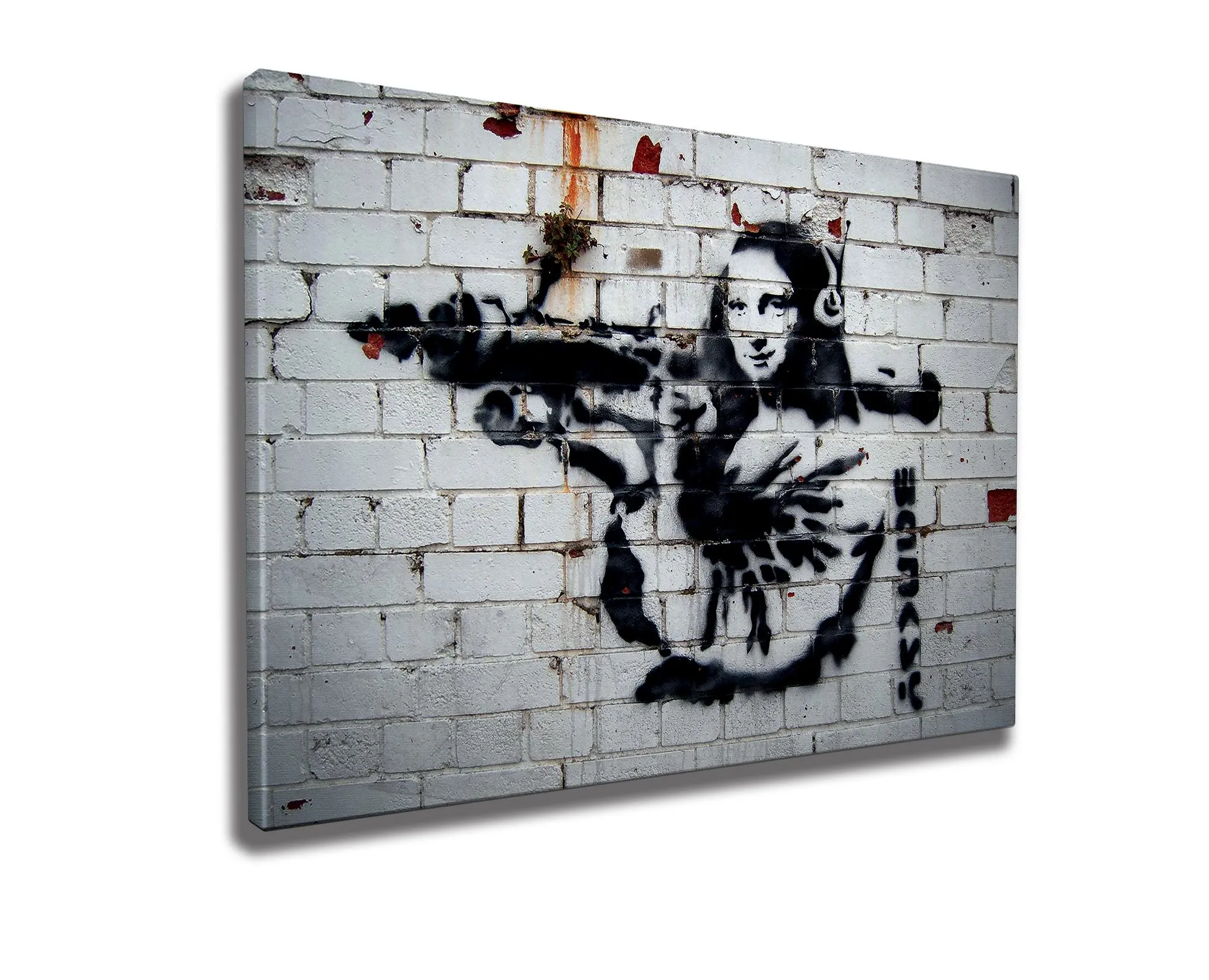Decorative Framed Canvas Painting - WY26 (50 x 70)