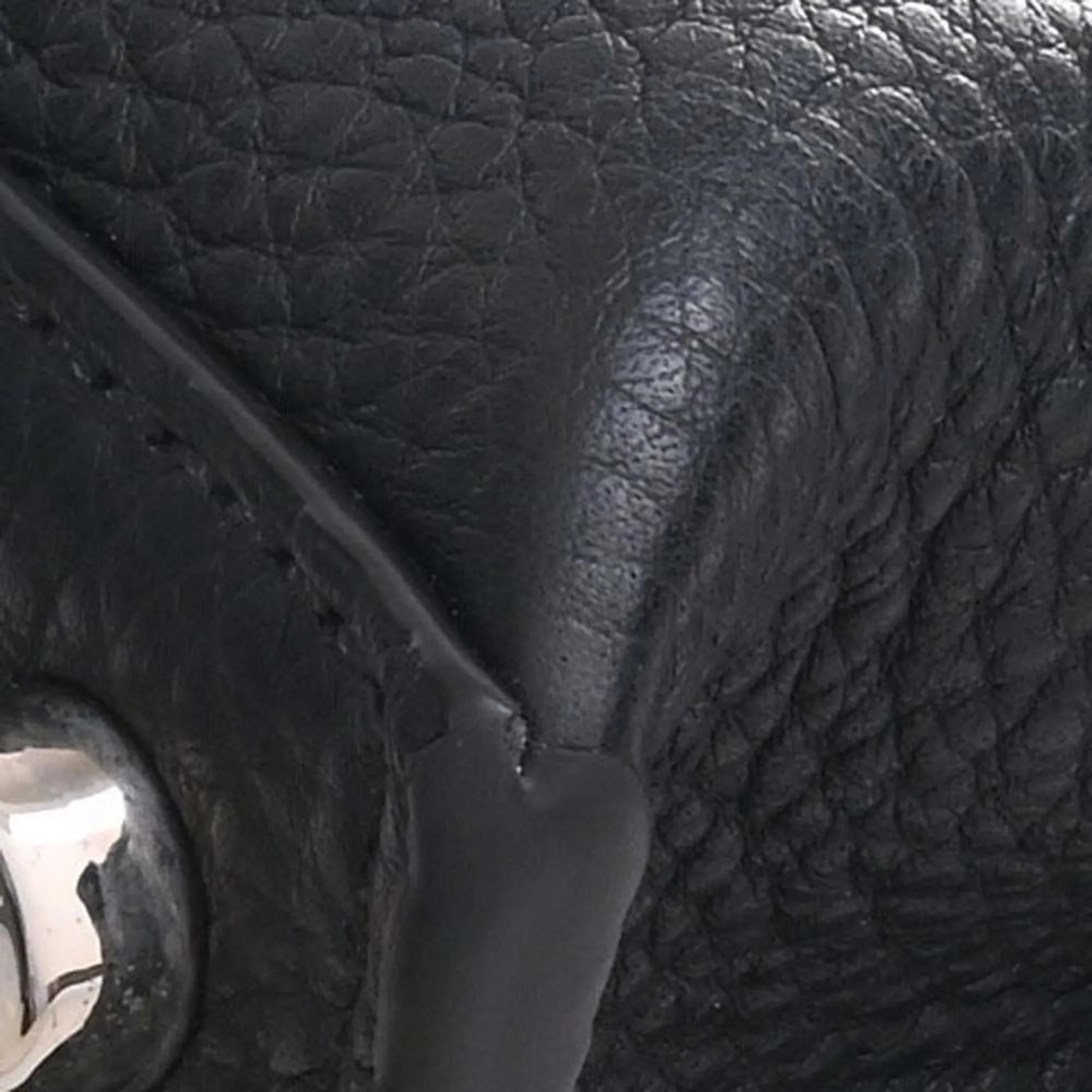 FENDI Selleria Leather Peekaboo Essential Handbag 7VA506 Black Ladies