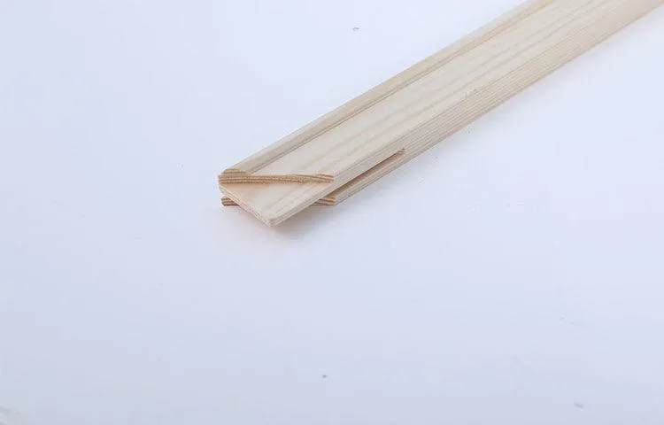 Moku Park Canvas Board : Linen Stretched Canvas-Wooden Frame