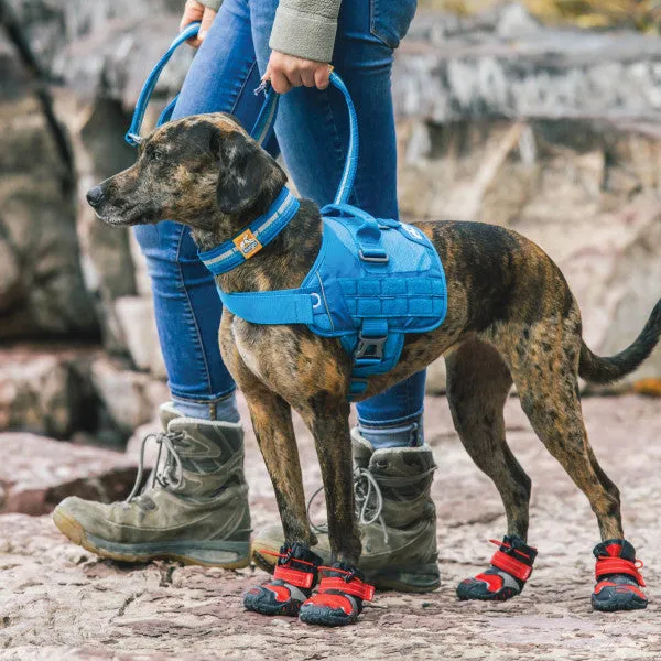 RSG Dog Townie Harness