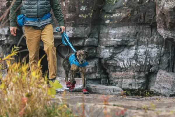 RSG Dog Townie Harness
