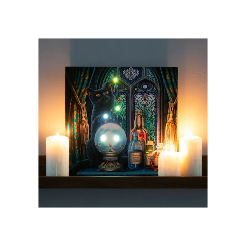 The Witches Apprentice Light Up Canvas Plaque by Lisa Parker - 30x30cm Magical Wall Art